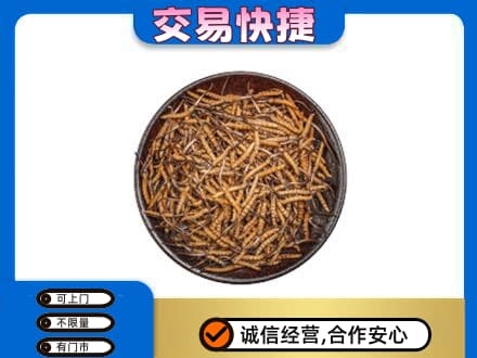 洛阳市吉利高价回收散虫草